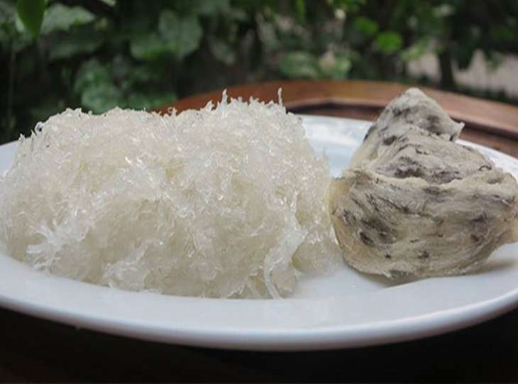 Yến tươi và yến khô cái nào tốt hơn?