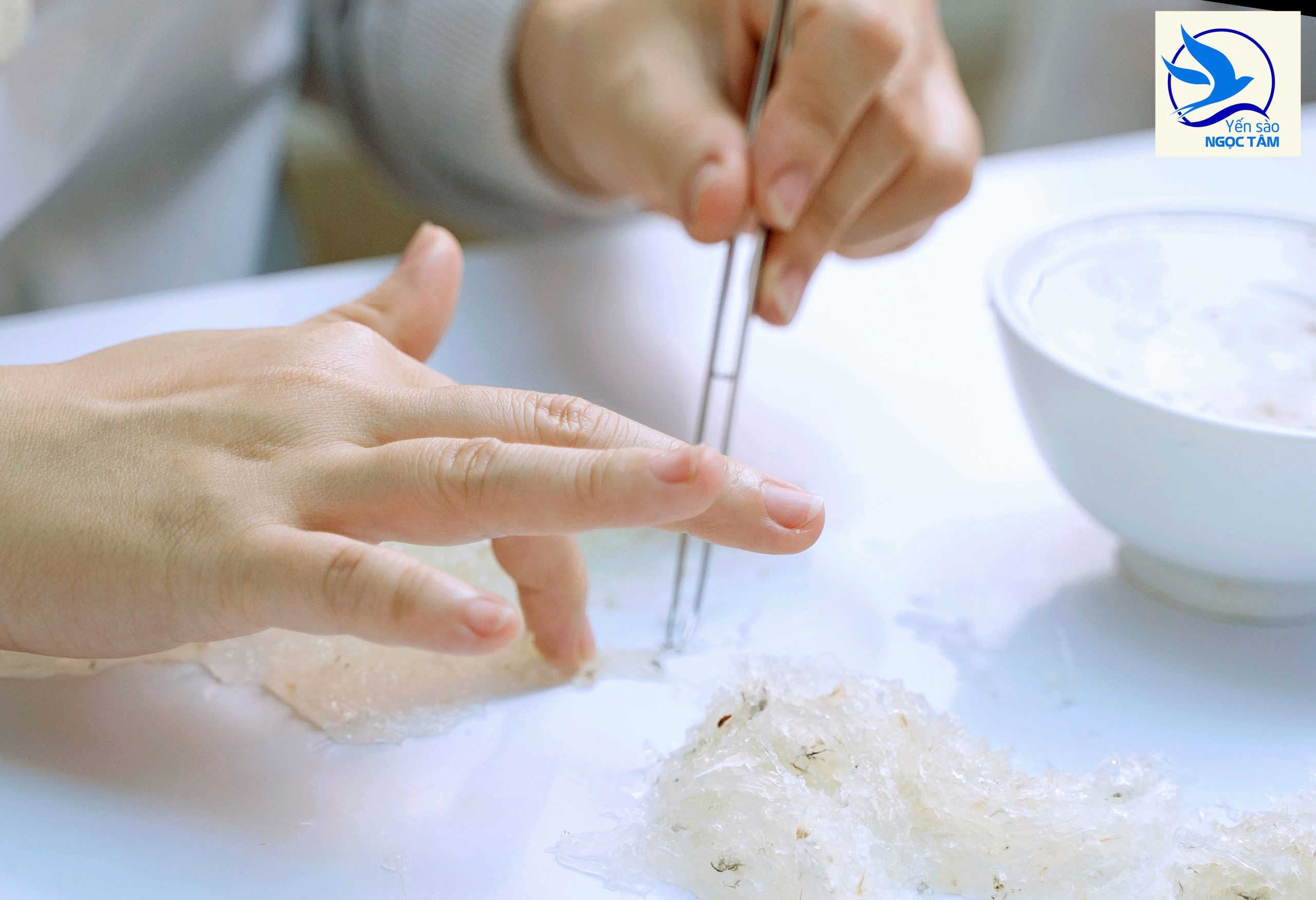 Phân tích ưu nhược điểm của tổ yến tinh chế