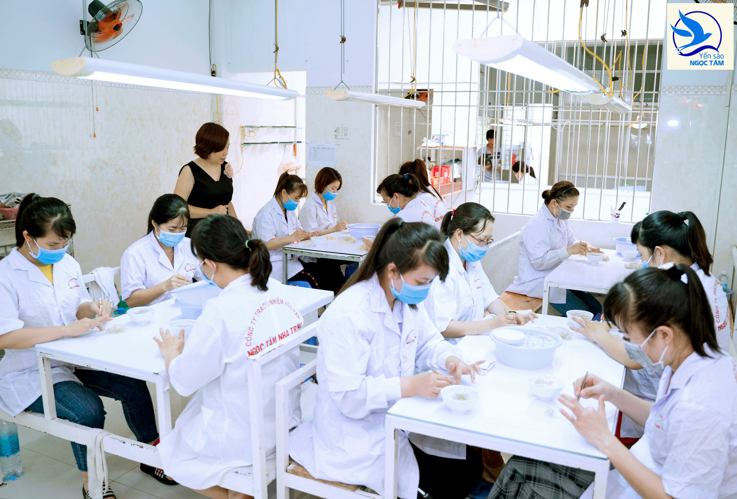 Cận cảnh quá trình chế biến tại Yến Sào Ngọc Tâm