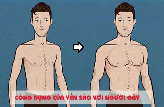 Tác dụng của yến sào đối với người gầy