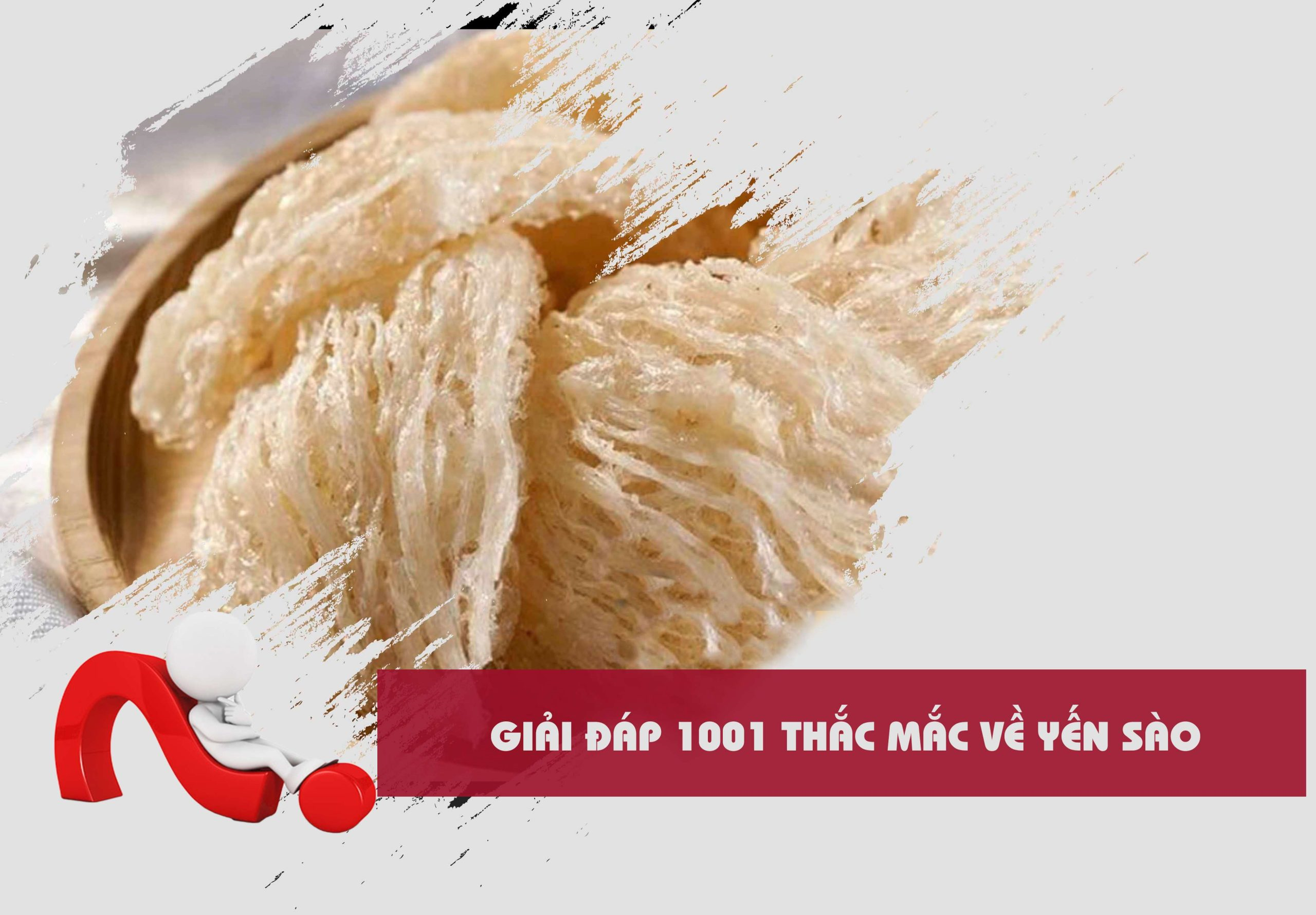 Giải đáp 1001 thắc mắc về yến sào